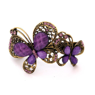 Haarspange mit Strass Kristallen-HRS_2012_18tk