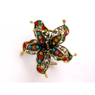 Haarklammer mit Strass Kristallen-HRS-KL_2012_50co