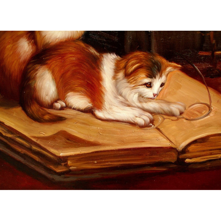 Katzen - handgemaltes Ölbild in  50x60cm-4_12