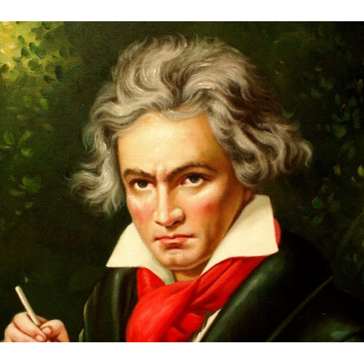 Beethoven Ludwig - handgemaltes Ölbild in 50x60cm
